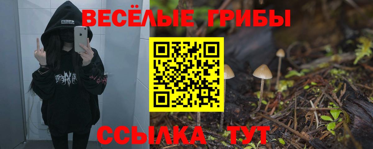 Псилоцибиновые грибы Cubensis  Вход с VPN  Обнинск 