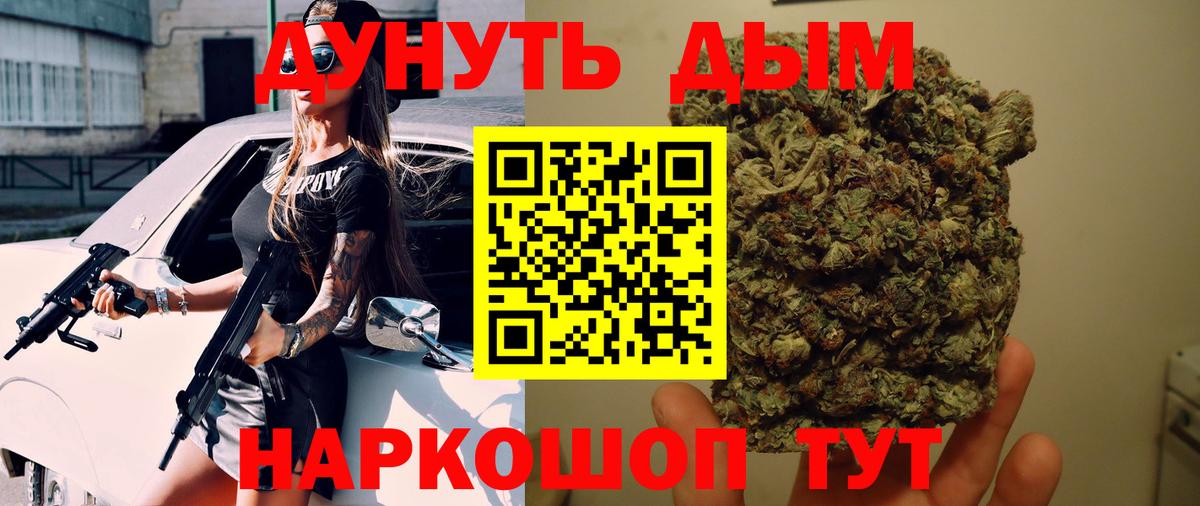 Каннабис план Обнинск